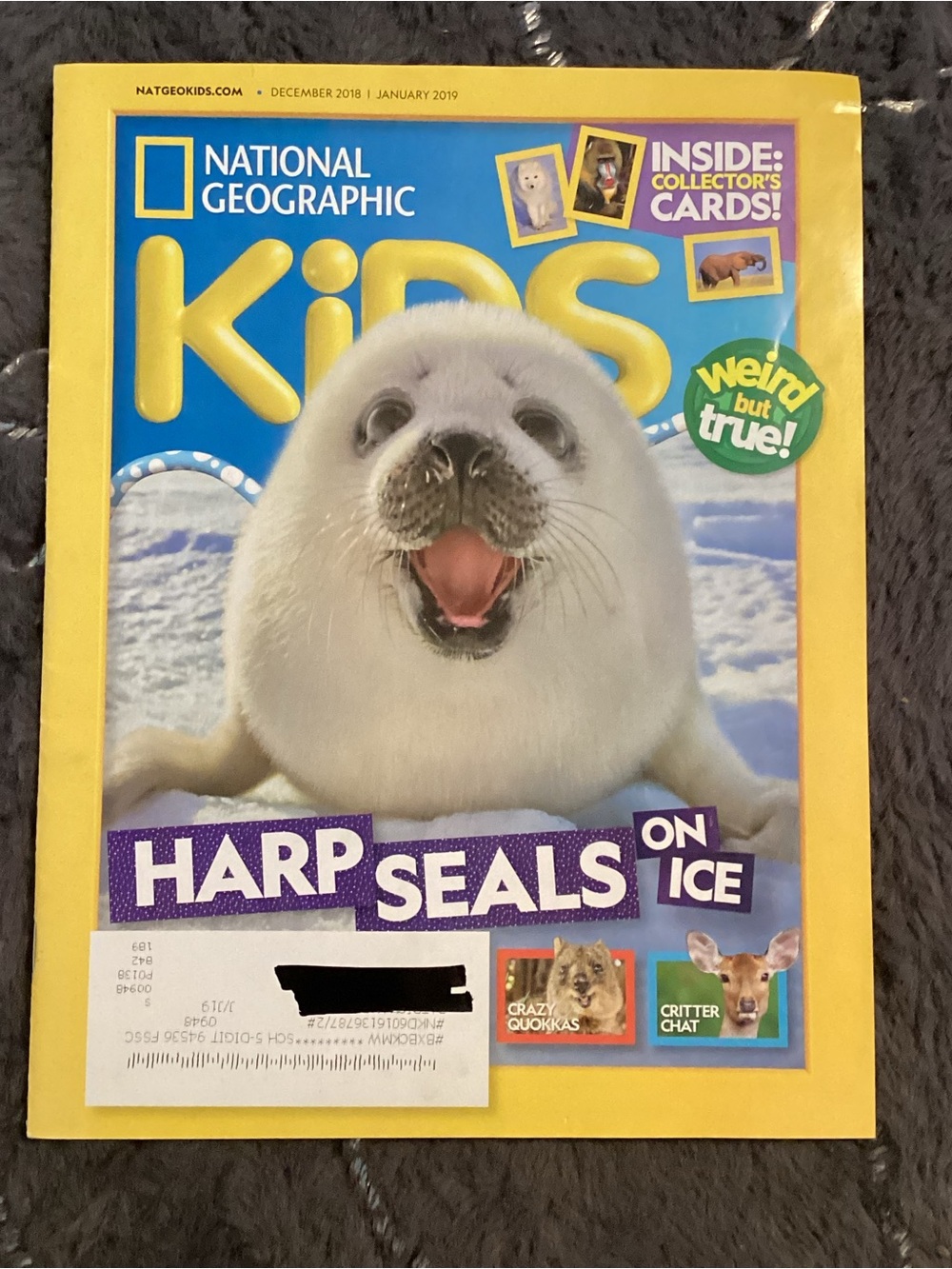 National Geographic Kids Magazine Dec 2018 Harp Seal Hangout